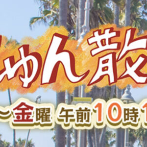 TV出演予定のお知らせ